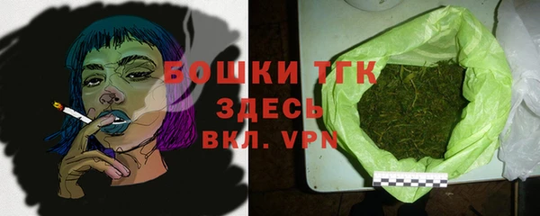 твердый Михайлов