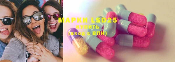 твердый Михайлов