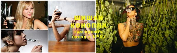твердый Михайлов
