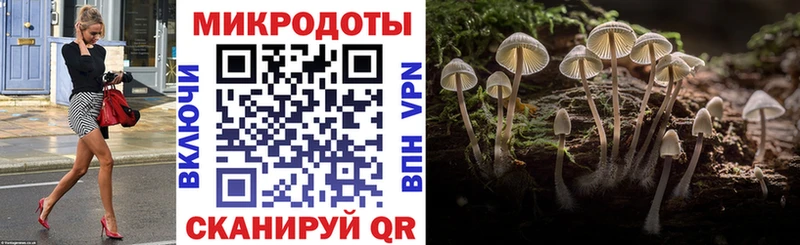 Галлюциногенные грибы Magic Shrooms  Южноуральск 